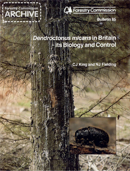 Dendroctonus Micans in Britain - Its Biology and Control