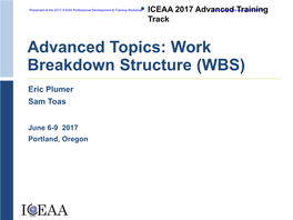 Advanced Topics: Work Breakdown Structure (WBS)