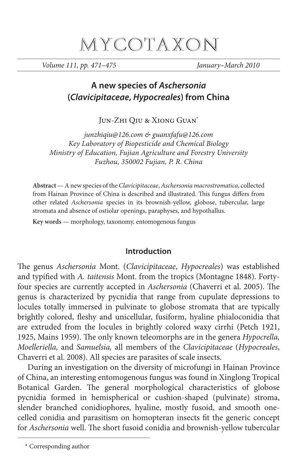 A New Species of <I>Aschersonia</I>