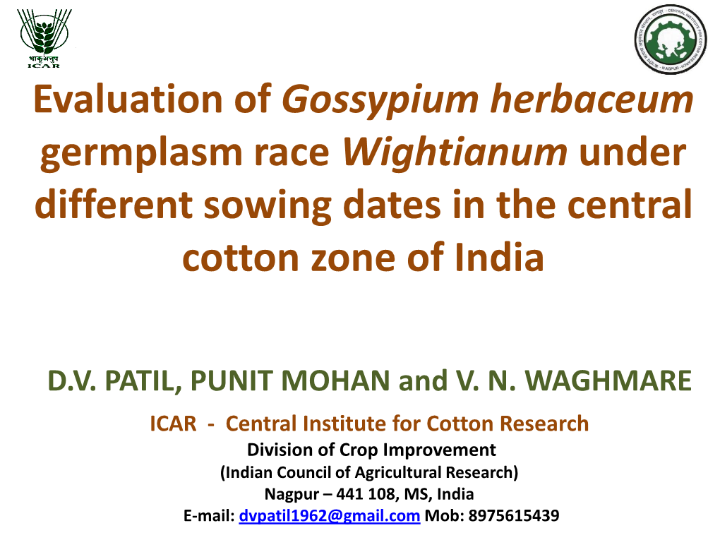 Evaluation of Gossypium Herbaceum Germplasm Race Wightianum Under Different Sowing Dates in the Central Cotton Zone of India