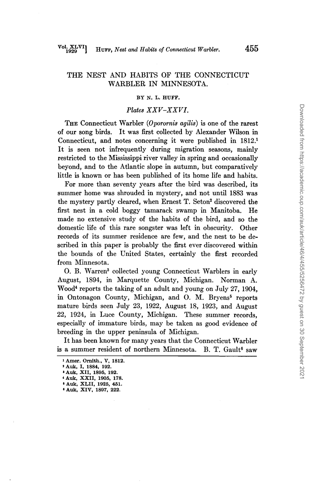 The Nest and Habits of the Connecticut Warbler in Minnesota