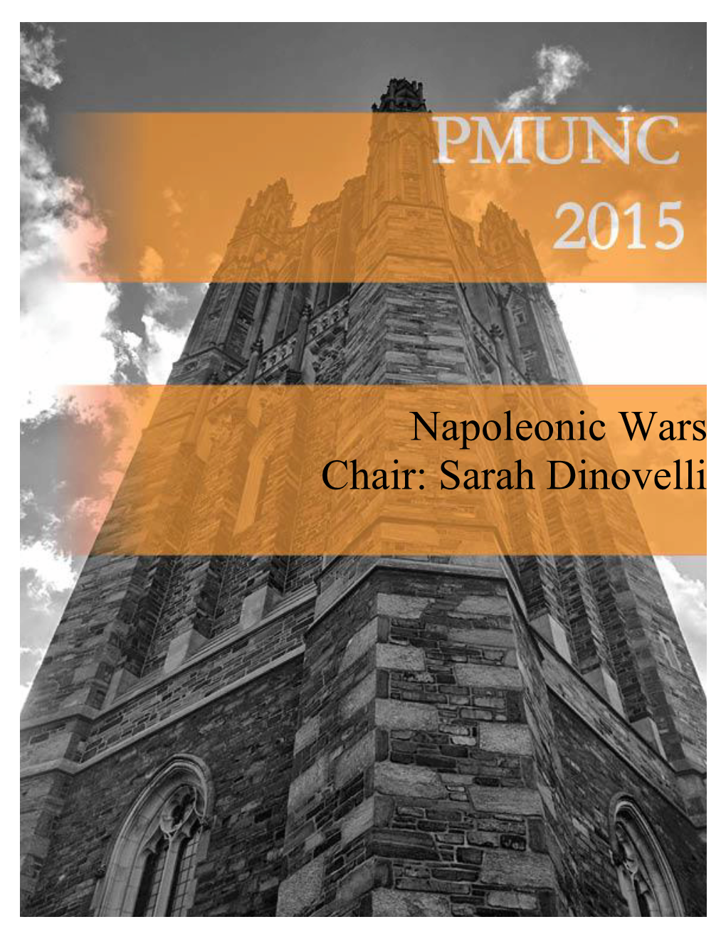 Napoleonic Wars Chair: Sarah Dinovelli