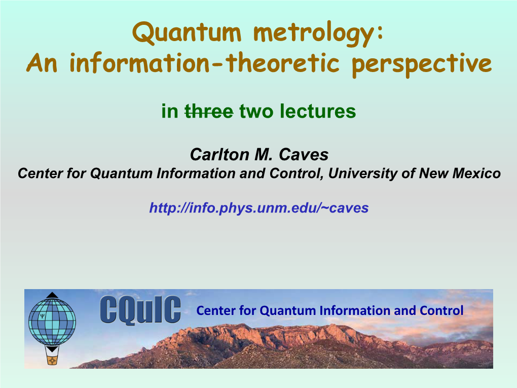 Quantum Metrology: an Information-Theoretic Perspective