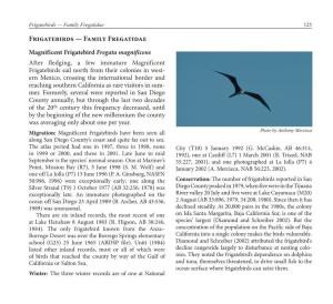 Frigatebirds — Family Fregatidae 125