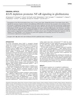 KLF6 Depletion Promotes NF-Κb Signaling in Glioblastoma