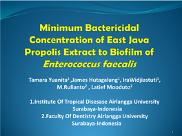 Minimum Bactericidal Concentration of East Java Propolis