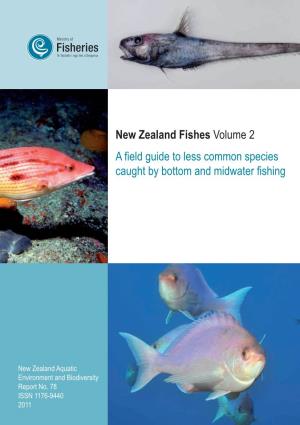Mcmillan NZ Fishes Vol 2