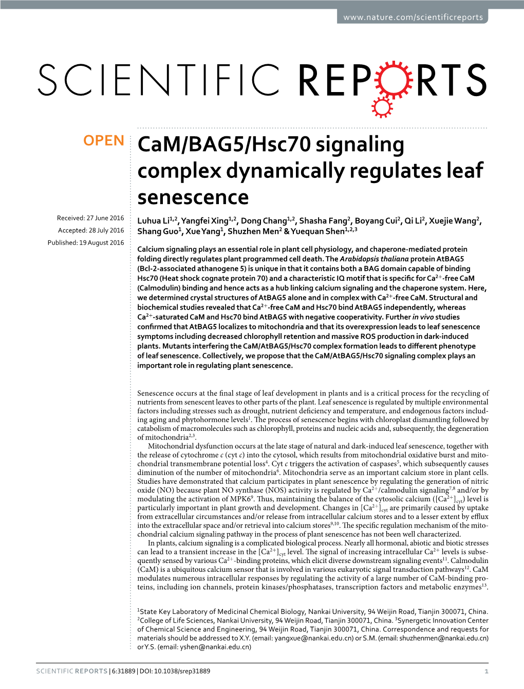 Cam/BAG5/Hsc70 Signaling Complex Dynamically Regulates Leaf