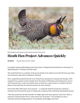 Heath Hen Project Advances Quickly