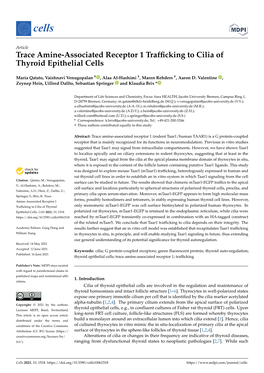 Trace Amine-Associated Receptor 1 Trafficking to Cilia of Thyroid Epithelial Cells