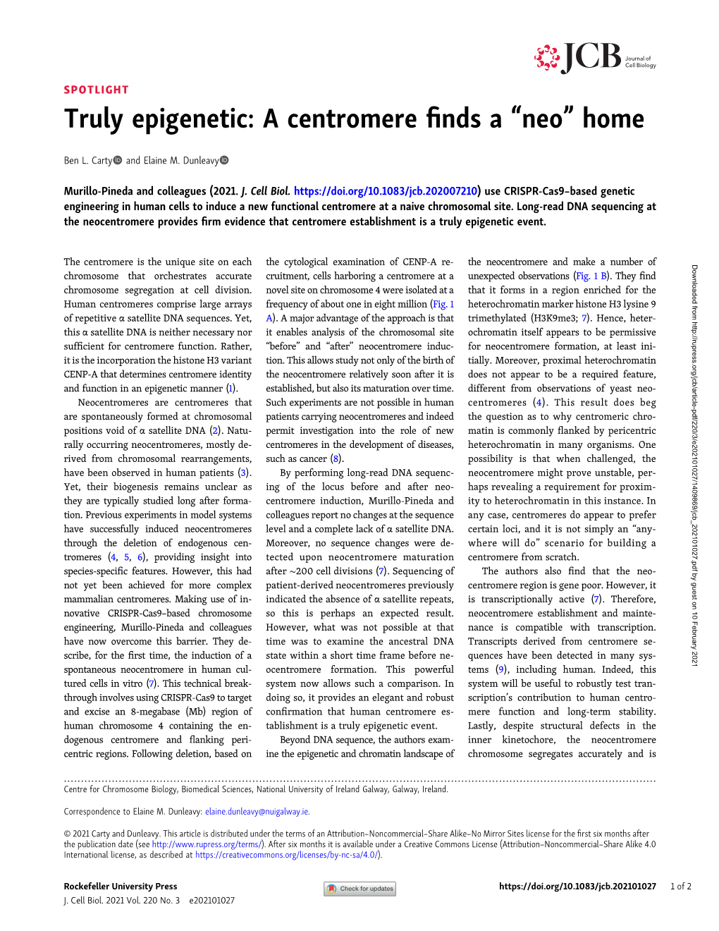 A Centromere Finds A