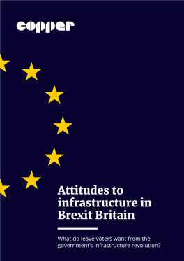 Attitudes to Infrastructure in Brexit Britain