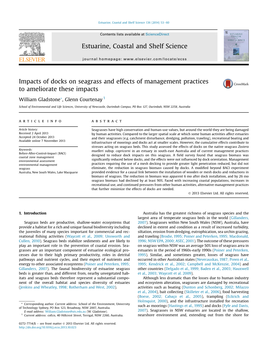 Impacts of Docks on Seagrass and Effects of Management Practices to Ameliorate These Impacts