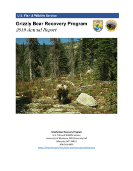 2019 Grizzly Bear Recovery Program Annual Report