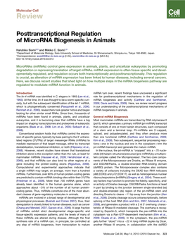 Posttranscriptional Regulation of Microrna Biogenesis in Animals