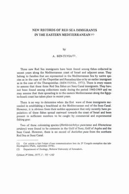 NEW RECORDS of RED SEA IMMIGRANTS in the EASTERN MEDITERRANEAN 0) by A. BENTUVIAE). Three New Red Sea Immigrants Have Been Found