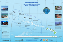 Nihoa Manawai Holoikauaua Pearl & Hermes Atoll Kapou Papa'āpoho Lisianski Island Kamole Kauō Laysan Island Kamokuokamohoali'i Ko'anako'a Maro Reef