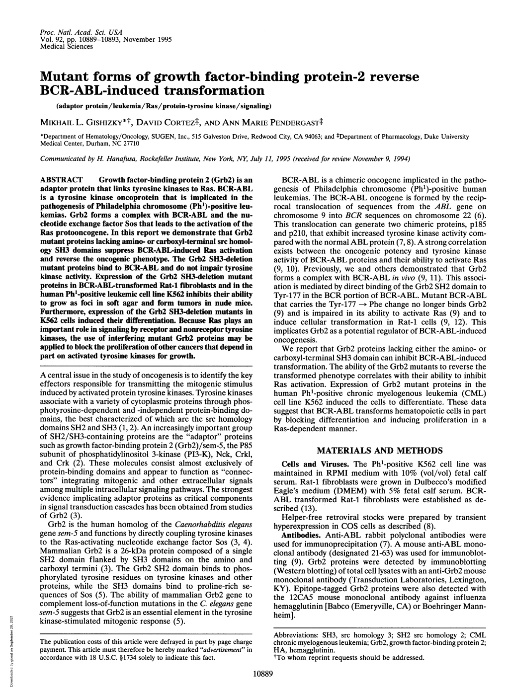 BCR-ABL-Induced Transformation (Adaptor Protein/Leukemia/Ras/Protein-Tyrosine Kinase/Signaling) MIKHAIL L