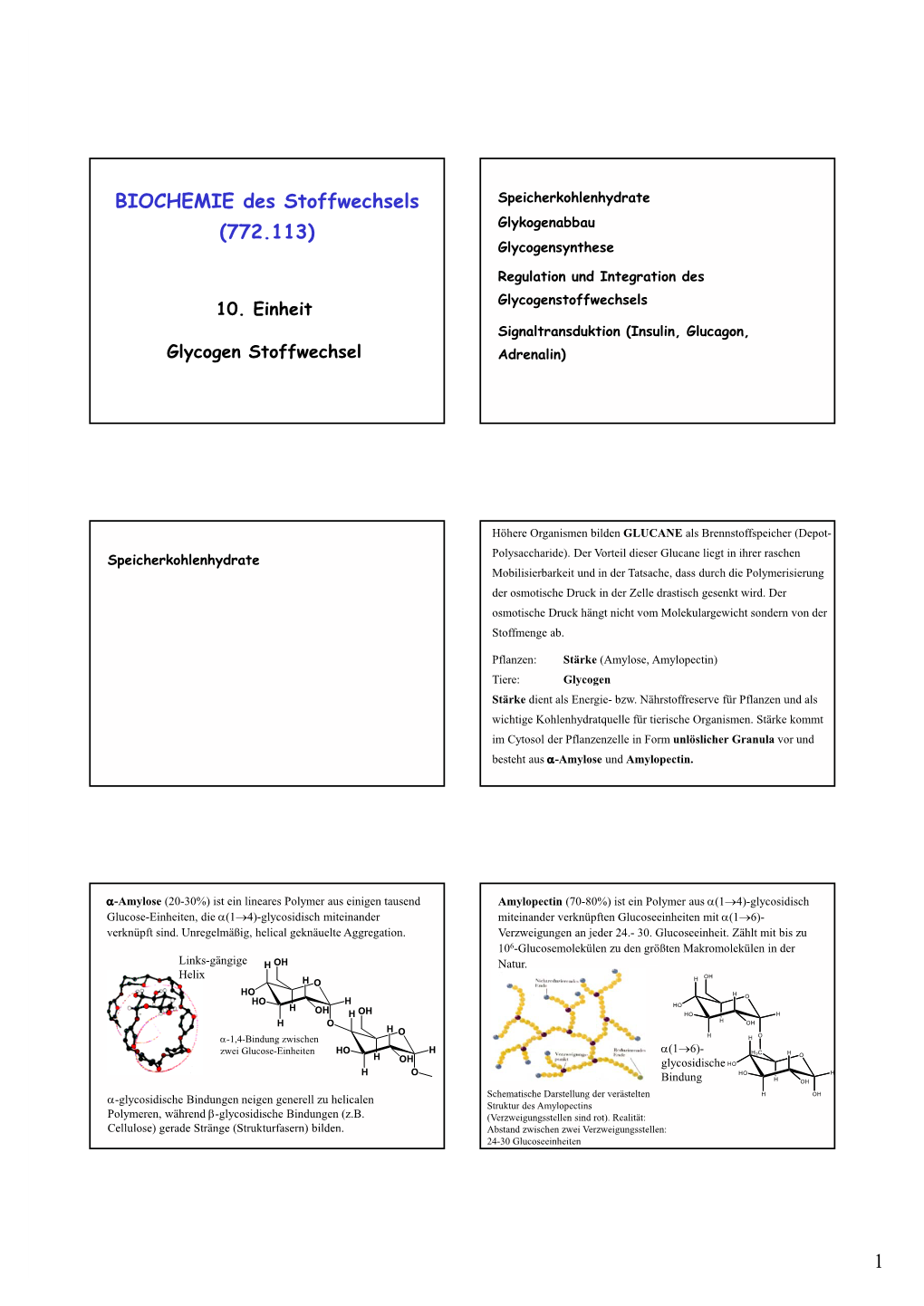 1 BIOCHEMIE Des Stoffwechsels