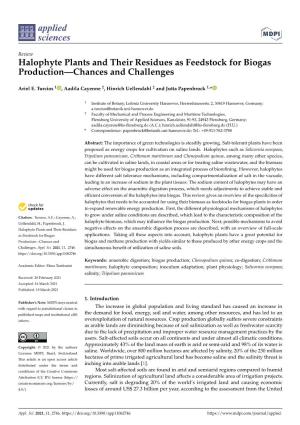 Halophyte Plants and Their Residues As Feedstock for Biogas Production—Chances and Challenges