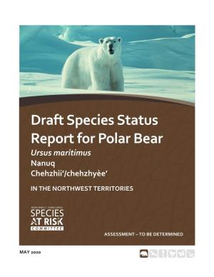 Draft Species Status Report for Polar Bear (Ursus Maritimus) in the Northwest Territories