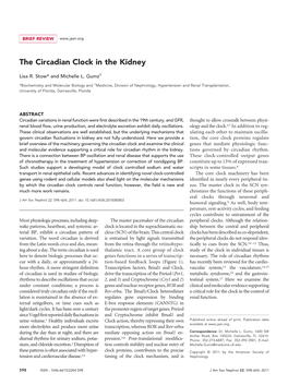 The Circadian Clock in the Kidney
