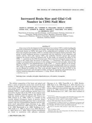 Increased Brain Size and Glial Cell Number in CD81-Null Mice