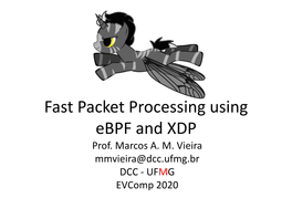 Extended Berkeley Packet Filter (Ebpf)