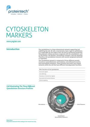 Cytoskeleton Markers