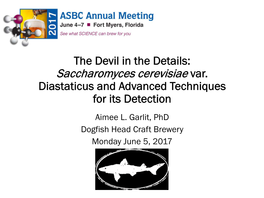 Saccharomyces Cerevisiae Var. Diastaticus and Advanced Techniques for Its Detection Aimee L