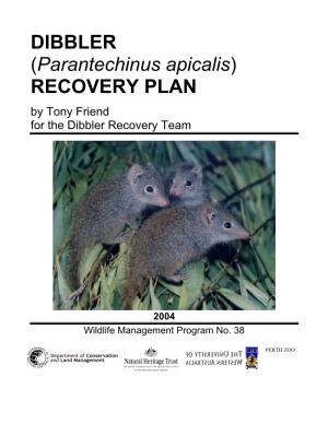 Parantechinus Apicalis) RECOVERY PLAN by Tony Friend for the Dibbler Recovery Team