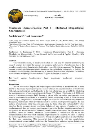 Mushroom Characterization Part I Illustrated Morphological