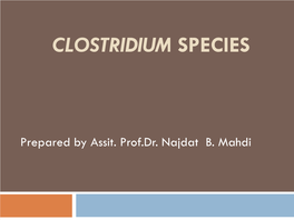 Clostridium Species