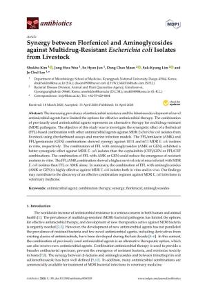 Synergy Between Florfenicol and Aminoglycosides Against Multidrug-Resistant Escherichia Coli Isolates from Livestock