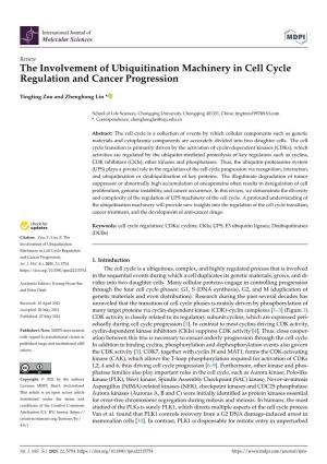 The Involvement of Ubiquitination Machinery in Cell Cycle Regulation and Cancer Progression