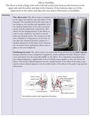 Elbow Instability the Elbow Is Both a Hinge Joint and a Ball and Socket Joint Between the Humerus in the Upper Arm and the Radius and Ulna in the Forearm