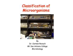 Classification of Microorganisms