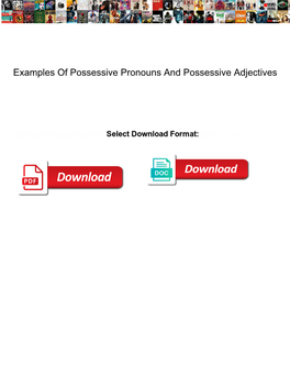 Examples of Possessive Pronouns and Possessive Adjectives