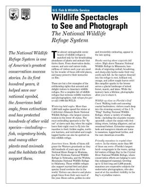 Wildlife Spectacles to See and Photograph the National Wildlife Refuge System
