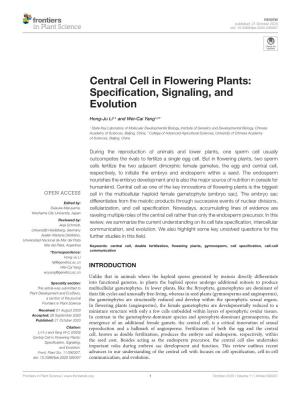 Central Cell in Flowering Plants: Speciﬁcation, Signaling, and Evolution