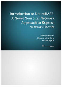A Novel Neuronal Network Approach to Express Network Motifs