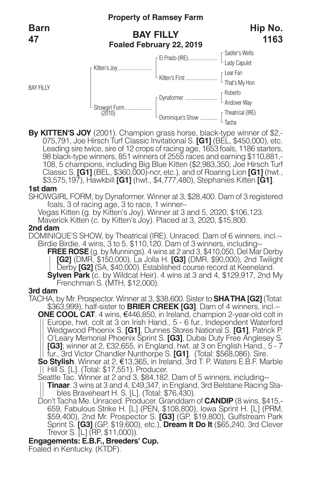 BAY FILLY Barn 47 Hip No. 1163