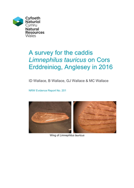 A Survey for the Caddis Limnephilus Tauricus on Cors Erddreiniog, Anglesey in 2016