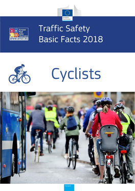 Cycling Accident Fact Sheet