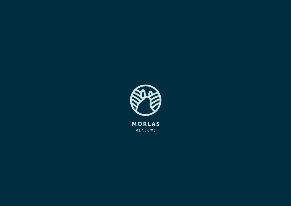 Primoris-Morlas-Meadows-Brochure