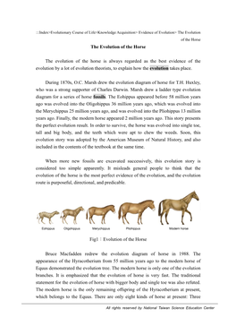 Evolutionary Course of Life>Knowledge Acquisition> Evidence of Evolution> the Evolution of the Horse the Evolution of the Horse