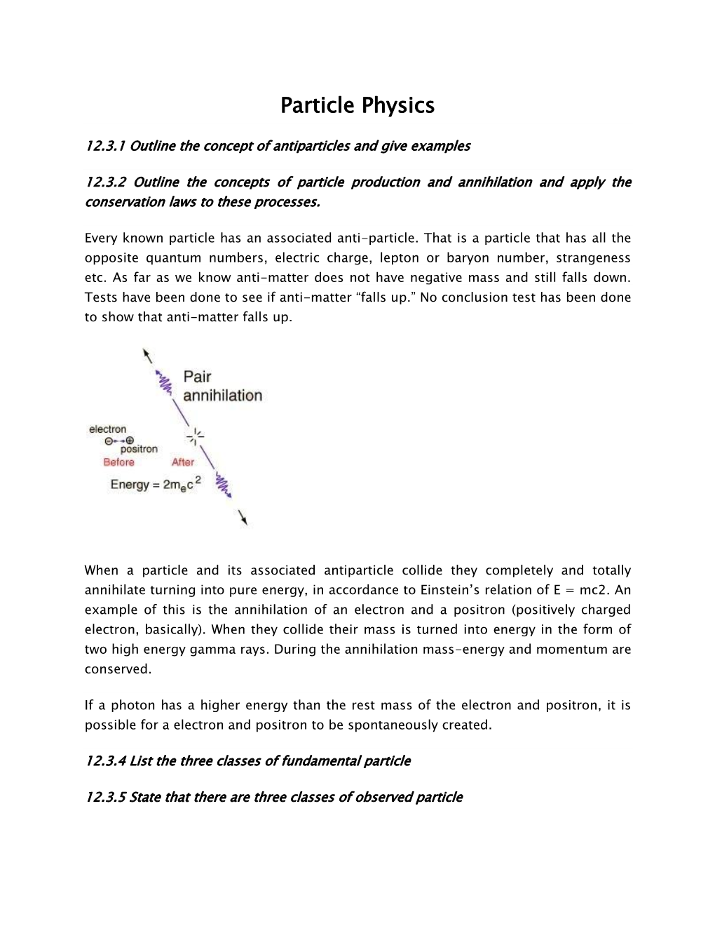 Particle Physics