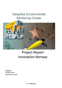 Project Report Innovation Norway