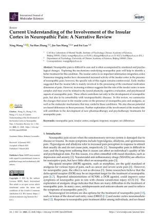 Current Understanding of the Involvement of the Insular Cortex in Neuropathic Pain: a Narrative Review