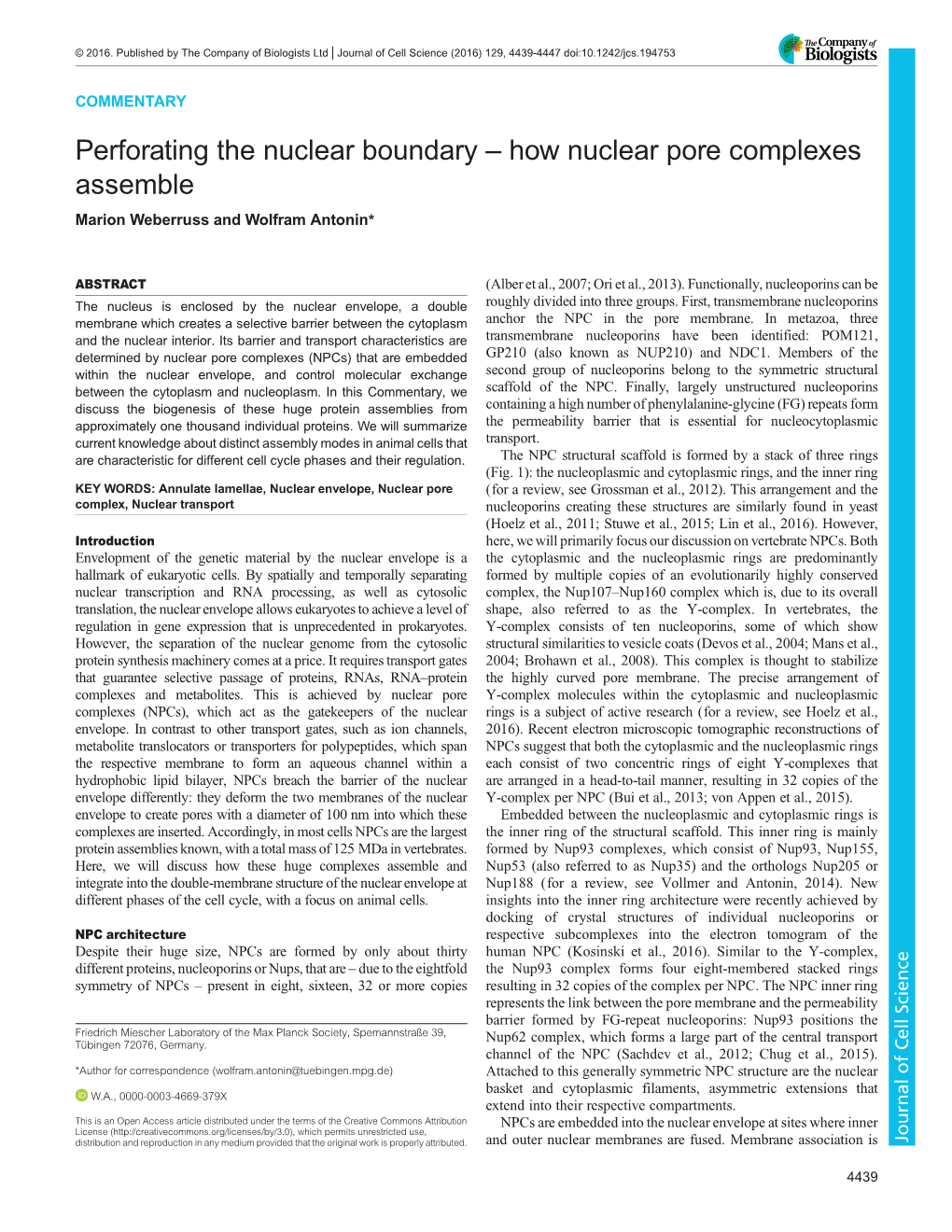 How Nuclear Pore Complexes Assemble Marion Weberruss and Wolfram Antonin*